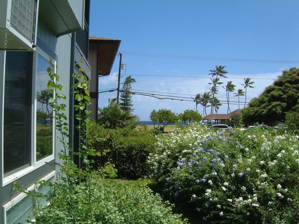Hale Pua Villa - Seaside Studio Koloa Exterior foto